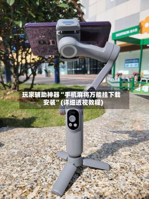 玩家辅助神器“手机麻将万能挂下载安装”(详细透视教程)-第3张图片