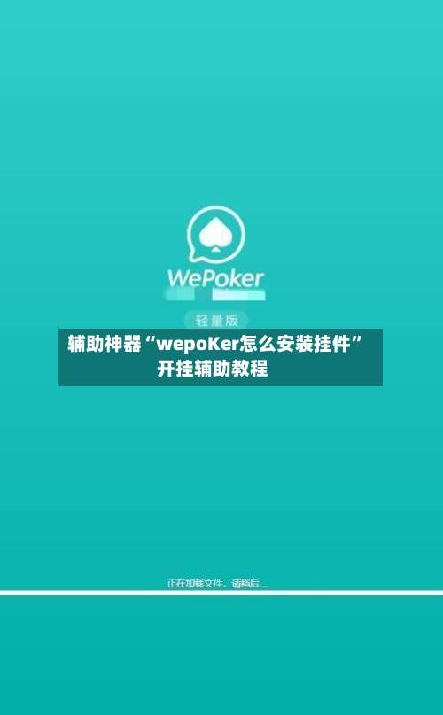 辅助神器“wepoKer怎么安装挂件	”开挂辅助教程-第3张图片
