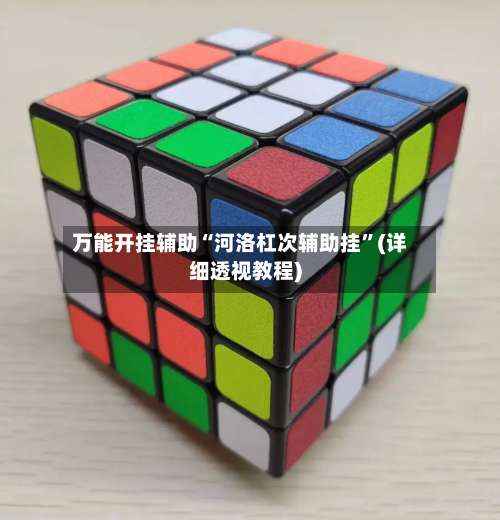 万能开挂辅助“河洛杠次辅助挂”(详细透视教程)-第2张图片