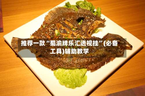 推荐一款“蜀渝牌乐汇透视挂	”(必备工具)辅助教学-第2张图片