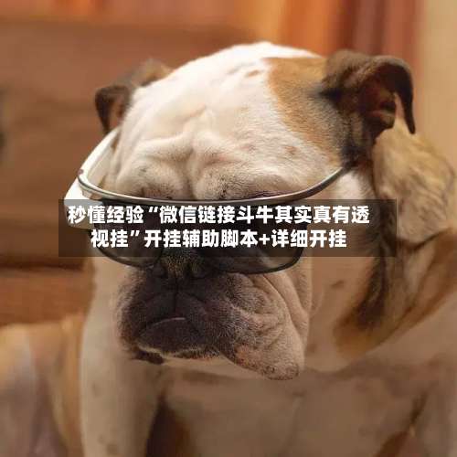 秒懂经验“微信链接斗牛其实真有透视挂”开挂辅助脚本+详细开挂-第1张图片