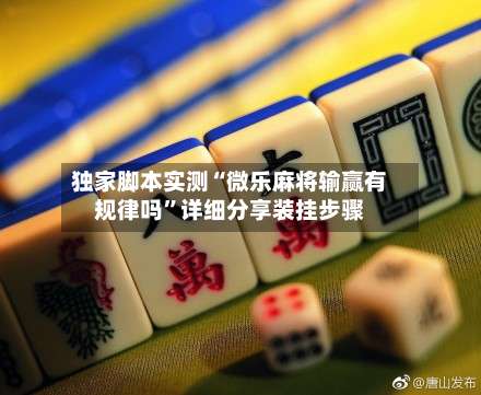 独家脚本实测“微乐麻将输赢有规律吗”详细分享装挂步骤-第1张图片