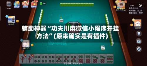 辅助神器“功夫川麻微信小程序开挂方法”(原来确实是有插件)-第2张图片