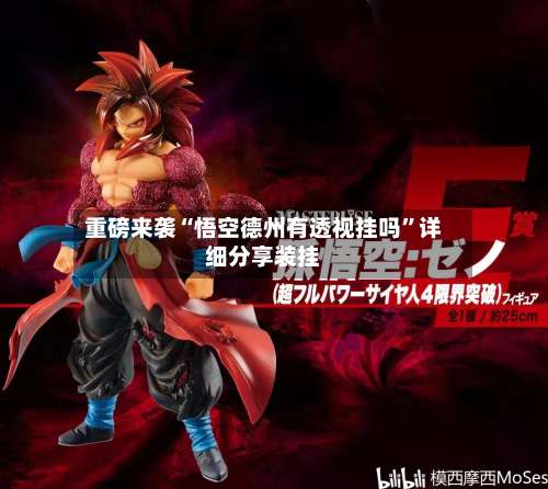 重磅来袭“悟空德州有透视挂吗”详细分享装挂-第2张图片