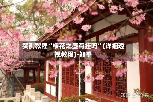 实测教程“樱花之盛有挂吗”(详细透视教程)-知乎-第1张图片