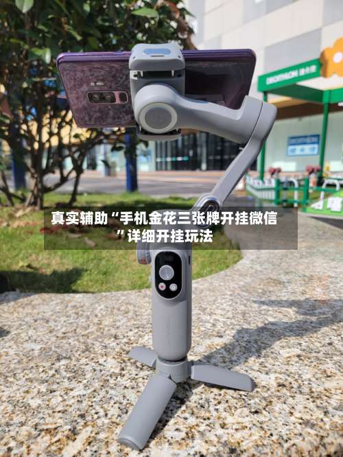 真实辅助“手机金花三张牌开挂微信”详细开挂玩法-第1张图片