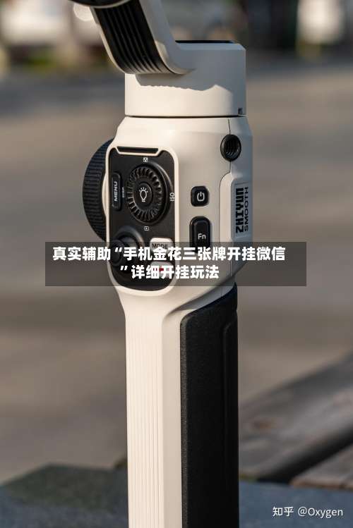 真实辅助“手机金花三张牌开挂微信”详细开挂玩法-第2张图片