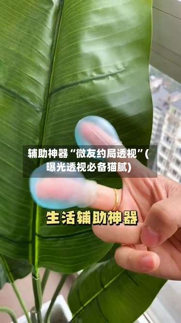 辅助神器“微友约局透视”(曝光透视必备猫腻)-第1张图片