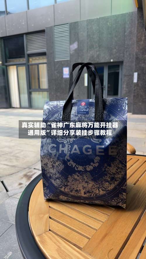 真实辅助“雀神广东麻将万能开挂器通用版	”详细分享装挂步骤教程-第2张图片