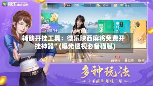 辅助开挂工具：微乐陕西麻将免费开挂神器”(曝光透视必备猫腻)-第2张图片