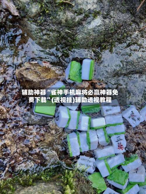 辅助神器“雀神手机麻将必赢神器免费下载”(透视挂)辅助透视教程-第2张图片