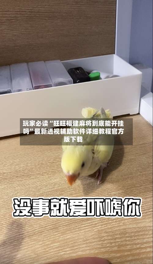 玩家必读“旺旺福建麻将到底能开挂吗”最新透视辅助软件详细教程官方版下载-第1张图片