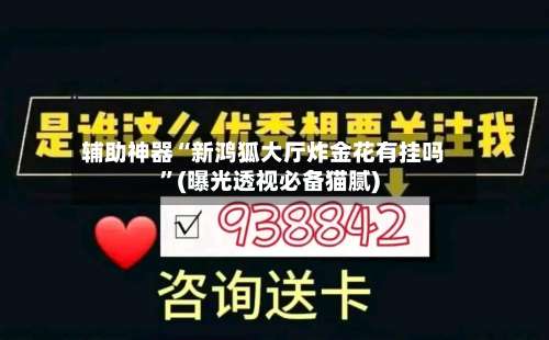 辅助神器“新鸿狐大厅炸金花有挂吗”(曝光透视必备猫腻)-第3张图片