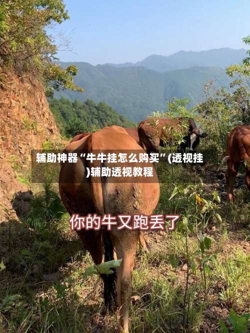 辅助神器“牛牛挂怎么购买	”(透视挂)辅助透视教程-第2张图片