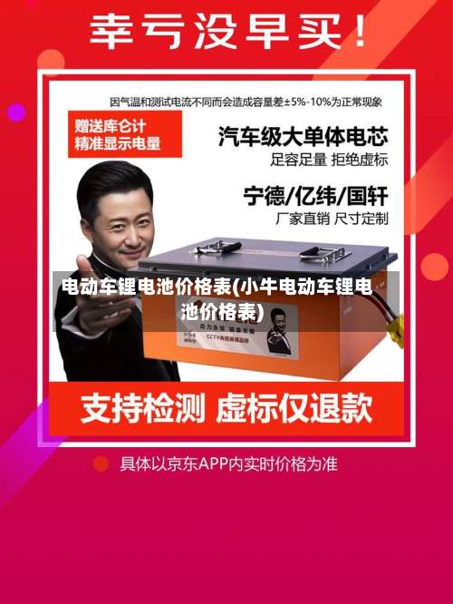 电动车锂电池价格表(小牛电动车锂电池价格表)-第1张图片
