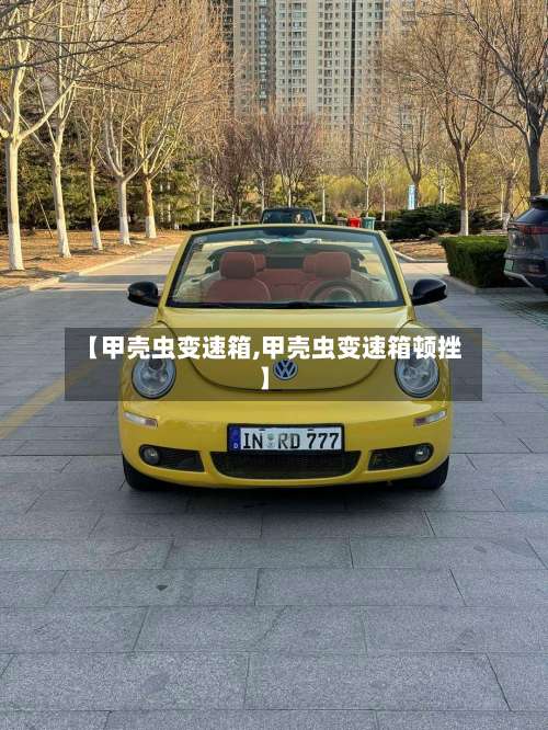【甲壳虫变速箱,甲壳虫变速箱顿挫】-第1张图片