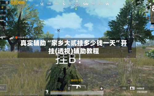 真实辅助“家乡大贰挂多少钱一天	”开挂(透视)辅助教程-第2张图片