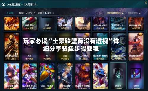 玩家必读“土豪联盟有没有透视”详细分享装挂步骤教程-第2张图片