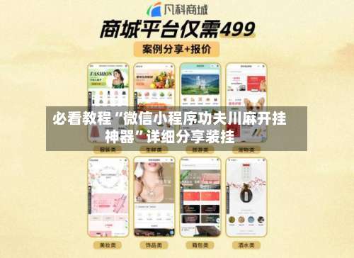 必看教程“微信小程序功夫川麻开挂神器	”详细分享装挂-第2张图片