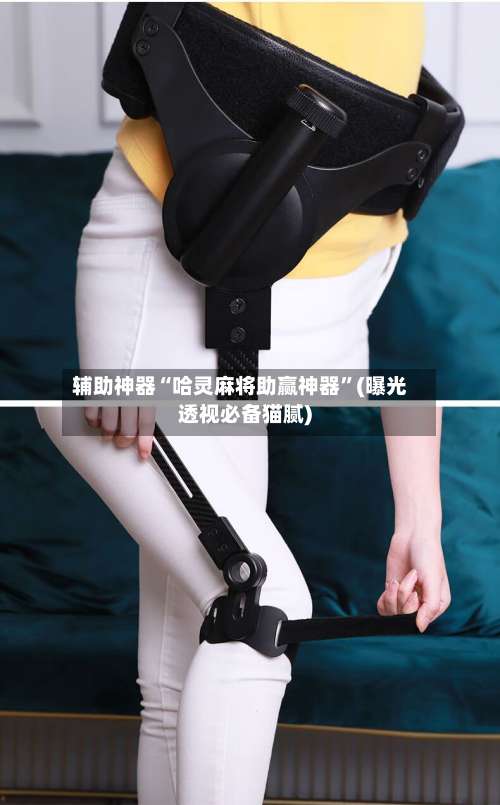 辅助神器“哈灵麻将助赢神器	”(曝光透视必备猫腻)-第2张图片