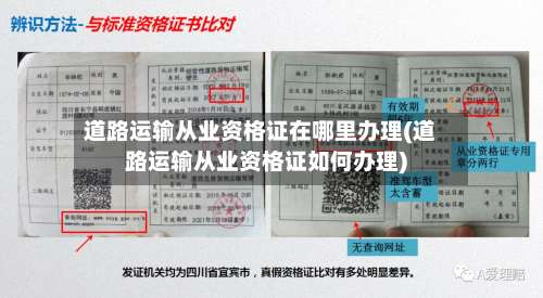 道路运输从业资格证在哪里办理(道路运输从业资格证如何办理)-第1张图片