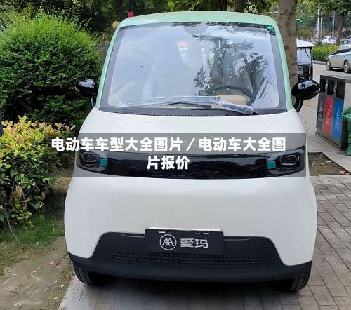电动车车型大全图片／电动车大全图片报价-第2张图片