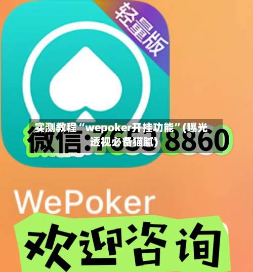 实测教程“wepoker开挂功能”(曝光透视必备猫腻)-第1张图片