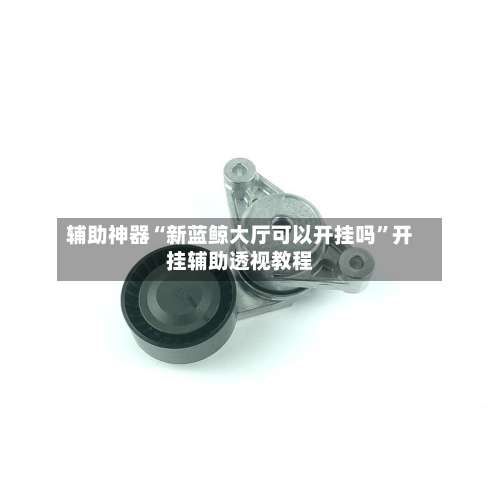 辅助神器“新蓝鲸大厅可以开挂吗”开挂辅助透视教程-第1张图片