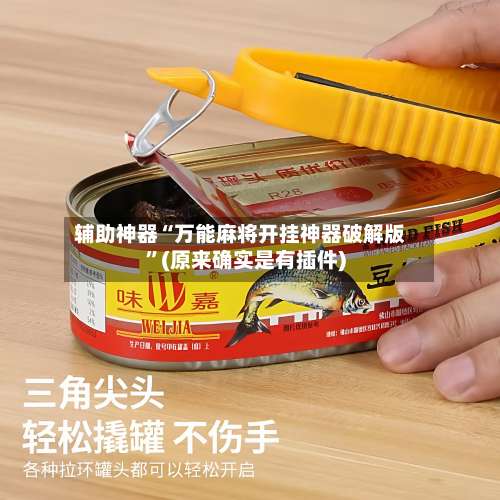 辅助神器“万能麻将开挂神器破解版	”(原来确实是有插件)-第1张图片