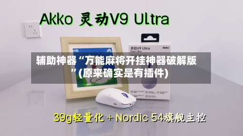 辅助神器“万能麻将开挂神器破解版”(原来确实是有插件)-第3张图片