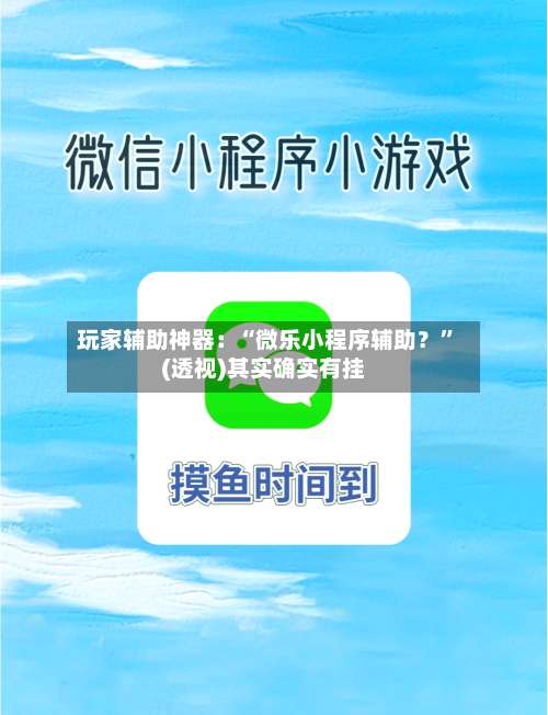 玩家辅助神器：“微乐小程序辅助？”(透视)其实确实有挂-第1张图片