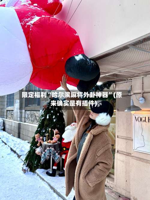 限定福利“哈尔滨麻将外卦神器”(原来确实是有插件)-第1张图片