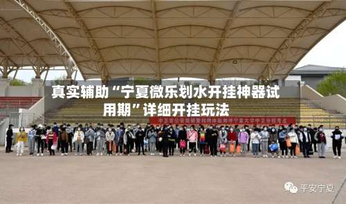 真实辅助“宁夏微乐划水开挂神器试用期”详细开挂玩法-第1张图片