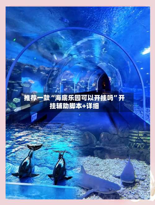 推荐一款“海底乐园可以开挂吗	”开挂辅助脚本+详细-第2张图片