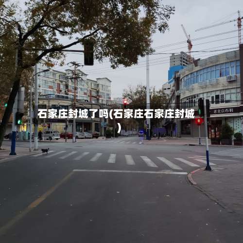 石家庄封城了吗(石家庄石家庄封城)-第1张图片