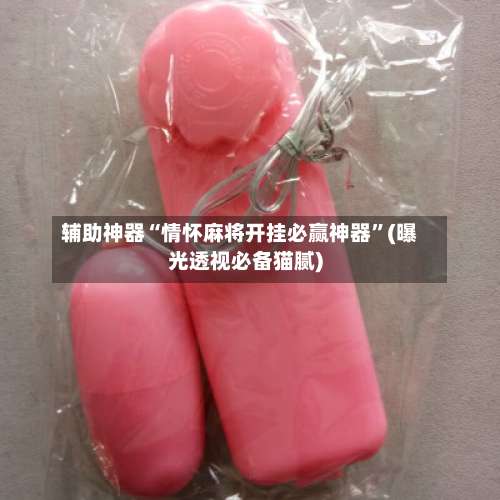 辅助神器“情怀麻将开挂必赢神器”(曝光透视必备猫腻)-第1张图片