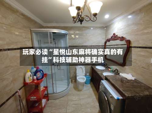 玩家必读“星悦山东麻将确实真的有挂”科技辅助神器手机-第1张图片