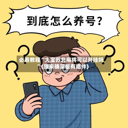必看教程“大宝苏北麻将可以开挂吗”(原来确实是有插件)-第3张图片