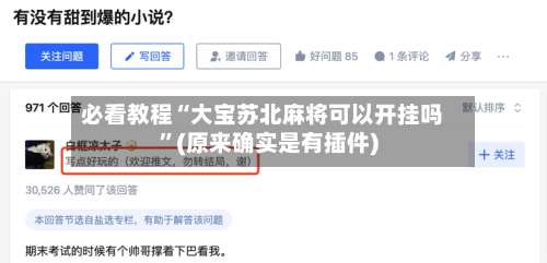 必看教程“大宝苏北麻将可以开挂吗”(原来确实是有插件)-第2张图片