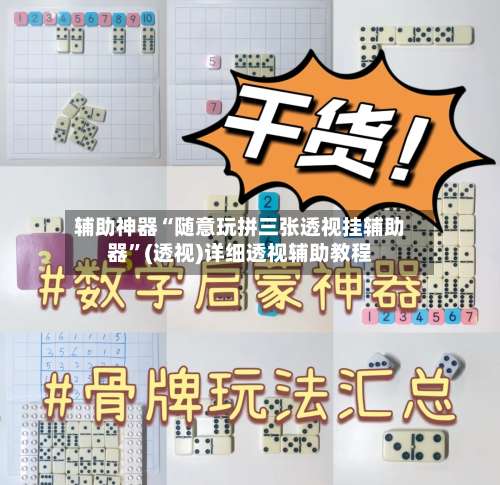 辅助神器“随意玩拼三张透视挂辅助器	”(透视)详细透视辅助教程-第1张图片