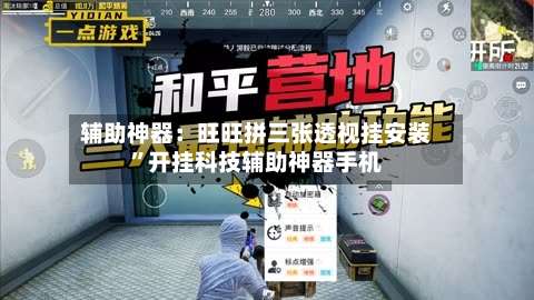 辅助神器：旺旺拼三张透视挂安装”开挂科技辅助神器手机-第1张图片
