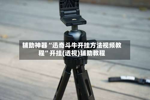 辅助神器“迅奇斗牛开挂方法视频教程”开挂(透视)辅助教程-第1张图片