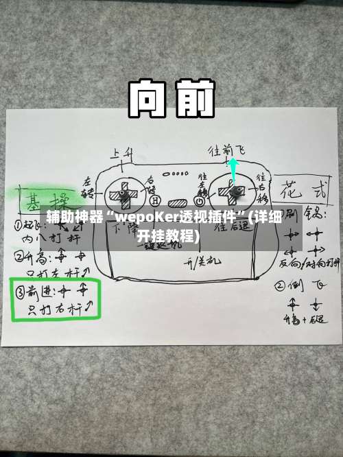 辅助神器“wepoKer透视插件”(详细开挂教程)-第1张图片