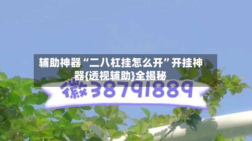 辅助神器“二八杠挂怎么开”开挂神器{透视辅助}全揭秘-第1张图片