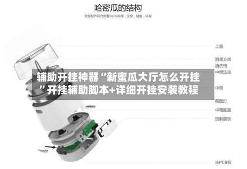 辅助开挂神器“新蜜瓜大厅怎么开挂”开挂辅助脚本+详细开挂安装教程-第3张图片