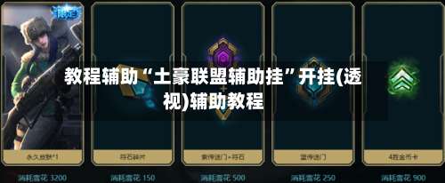 教程辅助“土豪联盟辅助挂	”开挂(透视)辅助教程-第1张图片