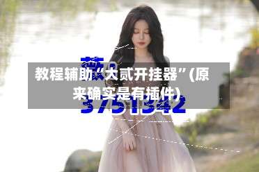 教程辅助“大贰开挂器”(原来确实是有插件)-第1张图片