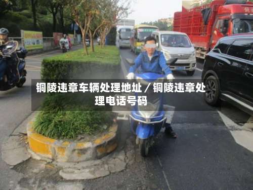 铜陵违章车辆处理地址／铜陵违章处理电话号码-第1张图片