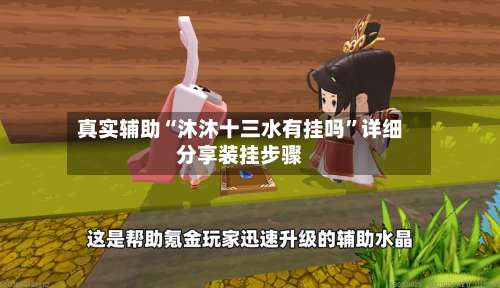 真实辅助“沐沐十三水有挂吗”详细分享装挂步骤-第3张图片