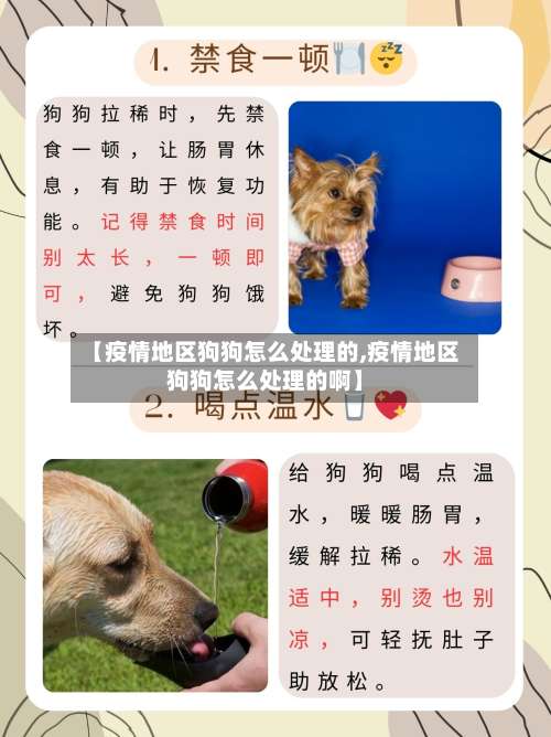 【疫情地区狗狗怎么处理的,疫情地区狗狗怎么处理的啊】-第1张图片